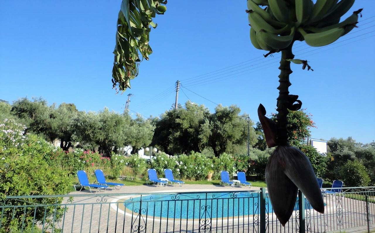 Tonia Apartments Zakynthos Exterior foto